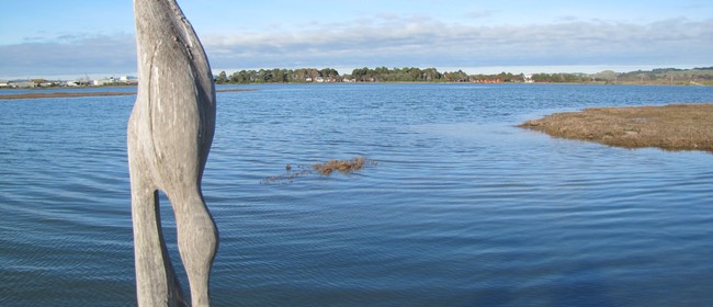 Te Whanganui-a-Orotu/Ahuriri Estuary Walk & Talk