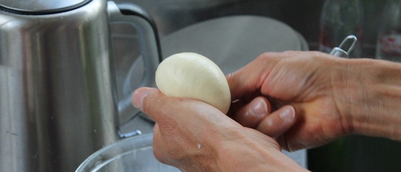 Feta, Haloumi and Mozzarella Cheese Making Workshop