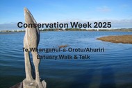 Conservation Week - Estuary Walk & Talk