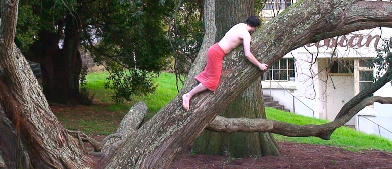 Campbell Patterson And Campbell Patterson