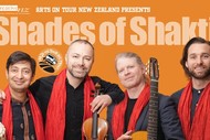 Shades of Shakti