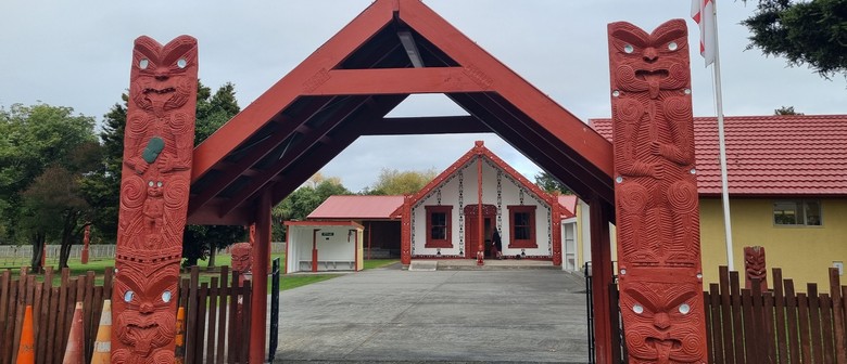 Wairarapa Walking Festival 2025: Papawai Marae and Eels Hikoi