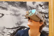Wellington Marine Life VR Experience