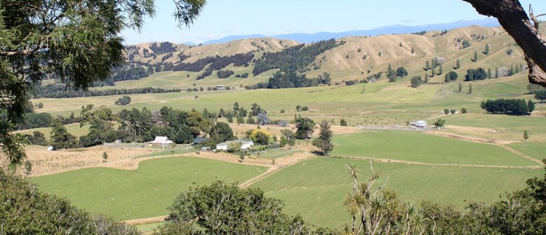 Wairarapa Walking Festival 2025: Cavelands Walk