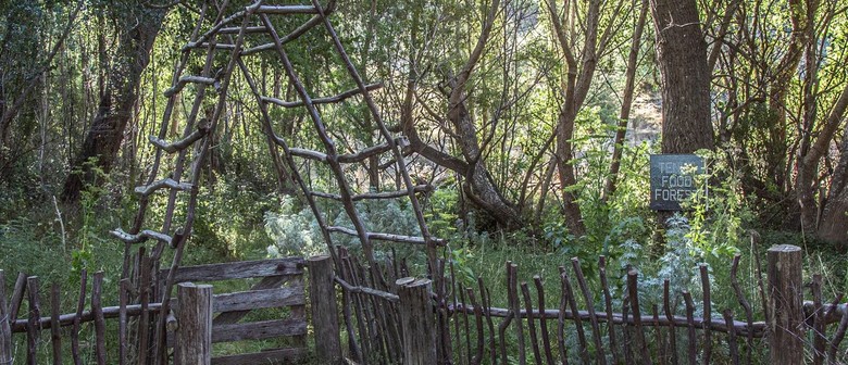 Wairarapa Walking Festival 2025: Tinui Food Forest Tranquility