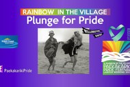 Plunge for Pride