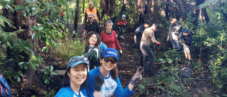 Northcote Regeneration with Kaipātiki Project
