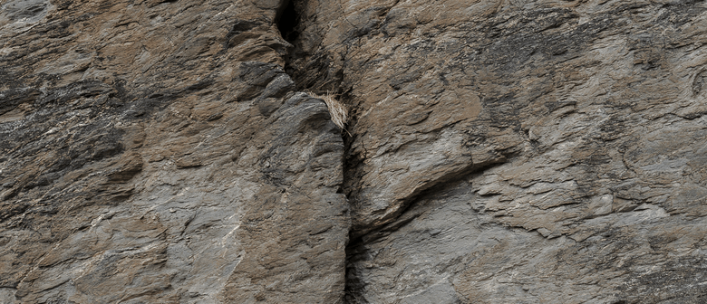 How the Light Gets In – John Pennington