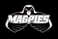 Magpies v Auckland