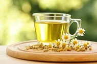 Supportive Therapies Workshop