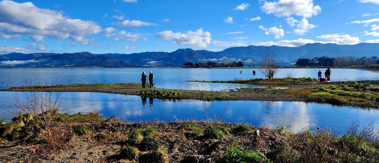 Wairarapa Walking Festival 2025: Wairarapa Moana Wander