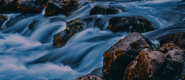 Streams of Consciousness