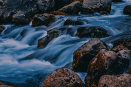 Streams of Consciousness