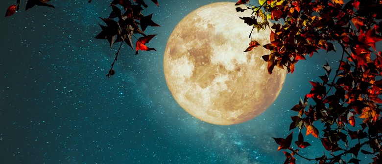 Finding Peace in the midst of Chaos