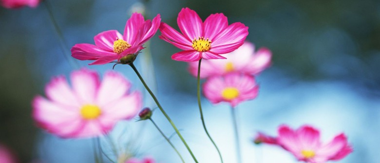 Meditate, Rest, Relax 