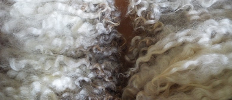 Spinning for Beginners Workshop with Anne Grassham