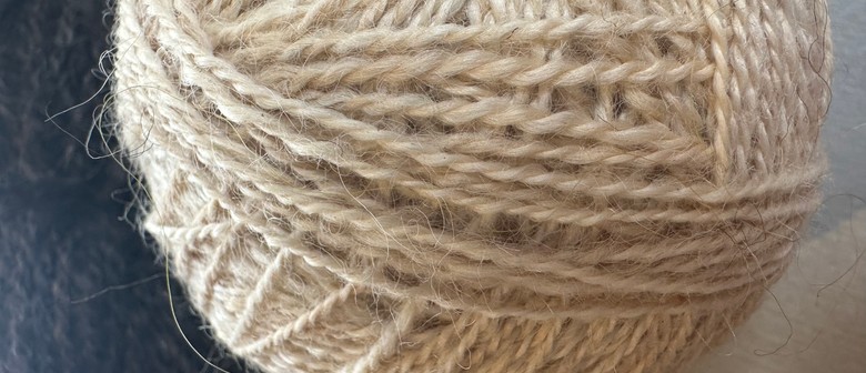 Spinning Beyond Basics Workshop with Anne Grassham