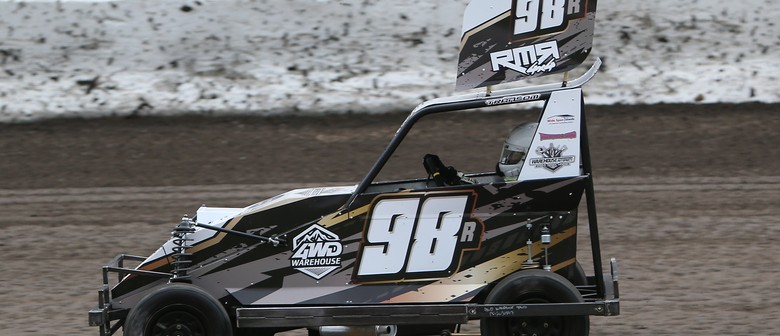 Stealth Engineering Ministocks in Paradise