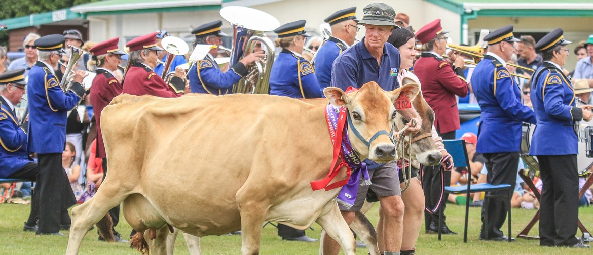 Golden Bay A&P Show