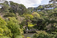 Heritage Festival - Heritage trees in the Wellington Botanic Garden