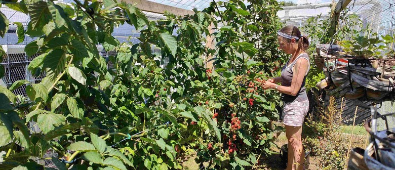 Taranaki Sustainable Backyards Trail