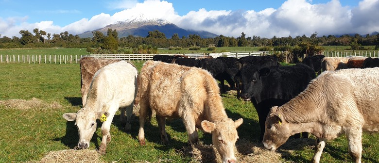 Taranaki Sustainable Farms Trail