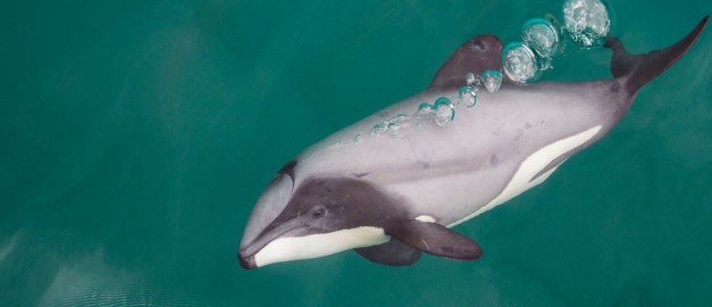 Coastal Conversations