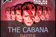 The Absolute BOWIE Tribute.