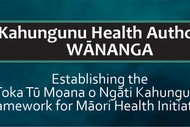 Kahungunu Health Authority Wānanga