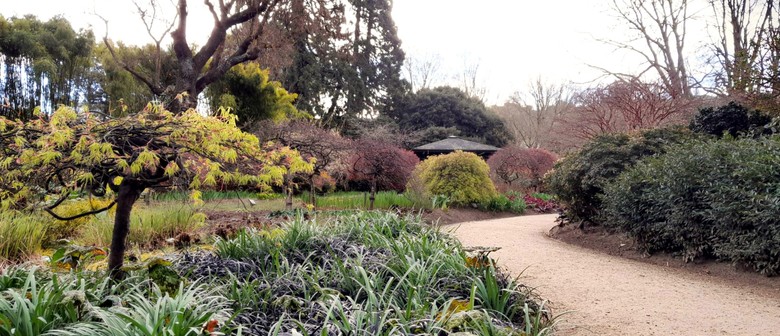 Curator Tour - Winter Garden and Lister Garden