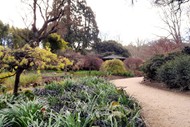 Curator Tour - Winter Garden and Lister Garden
