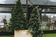 Magic of Christmas Night Market