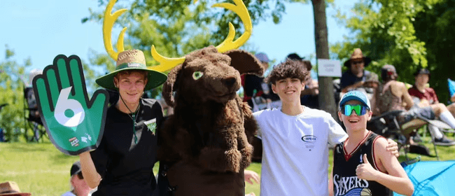 Super Smash T20 doubleheader