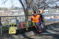 Miniature Train Rides