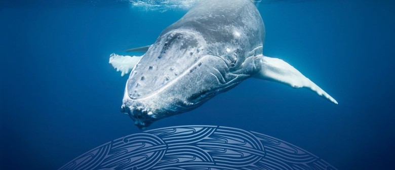 Ngā Huhua: Abundance