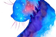 Watercolour Paint and Wine Night in Timaru - Midnight Kitty