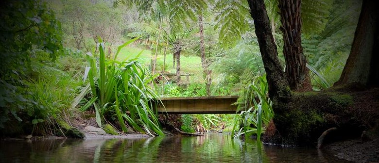 Water, Wind and Wood - Part 1 - Guided Walk