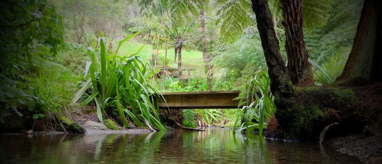 Water, wind and wood - Part 2 - Guided Walk