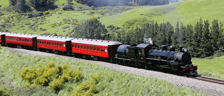 The Hawkes Bay Flyer