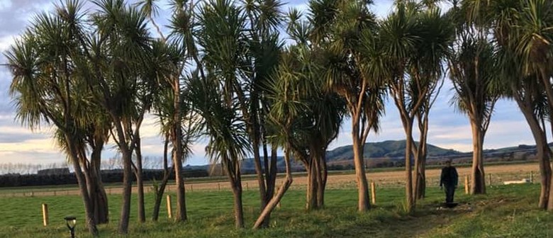 Wairarapa Walking Festival 2025: Ruamāhanga Farm Wetland Walk