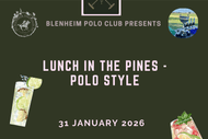 Lunch in the Pines - Polo Style