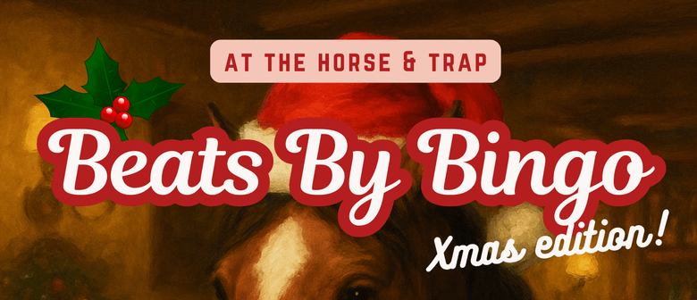 Beats By Bingo Xmas show