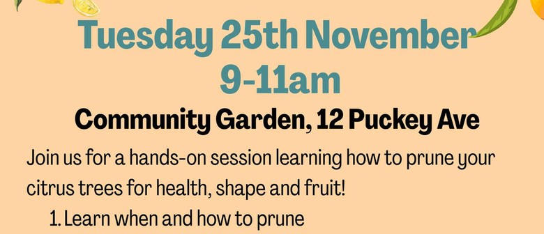 Citrus Pruning Workshop