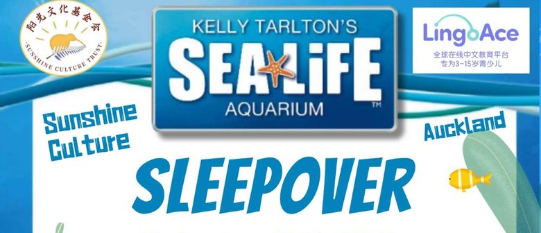 Aquarium Sleepover