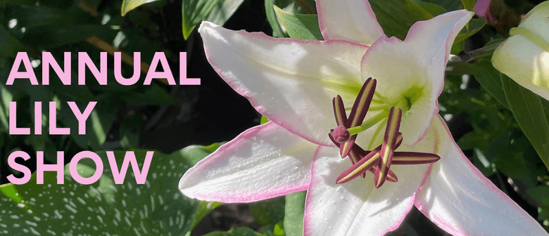 Lily Flower Show