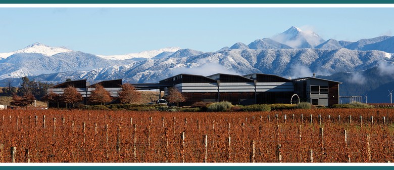 Watercolour at the Winery