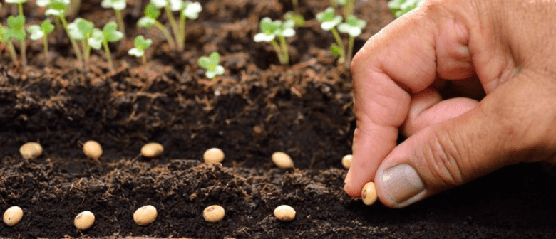 Seed Saving Workshop