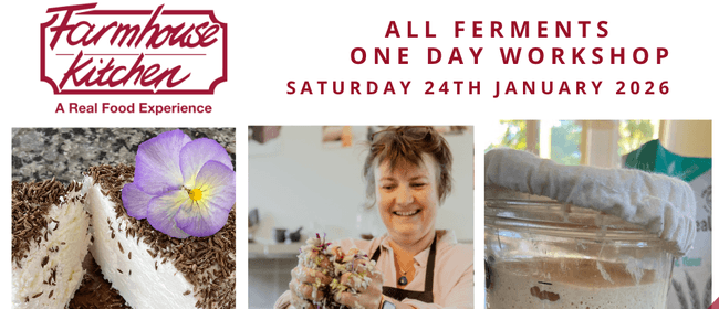 One Day All Ferments Workshop