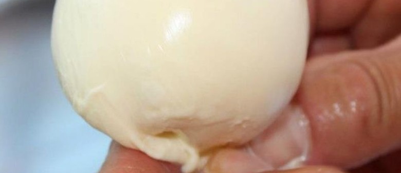 Mozzarella, Feta and Haloumi Cheese Making Workshop