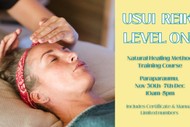 Reiki Healing Training - Level One